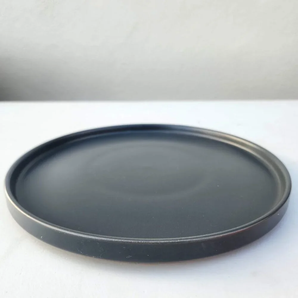 NEW 2X Stone Lain Stoneware Round Dinner Plate Dinnerware Gray Replacement Matte